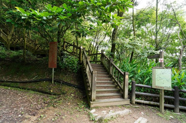 新北 新店 獅仔頭山、粽串尖、大丘田山2804271
