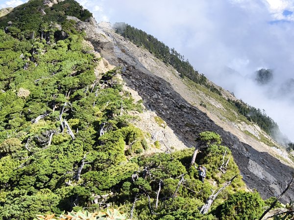 北一段(11/14)南湖北峰 2025_0906~132887322