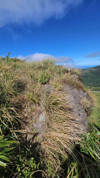 20250917七星山北北峰上北峰-主峰-南峰-摘星峰+紗帽山南峰2889407