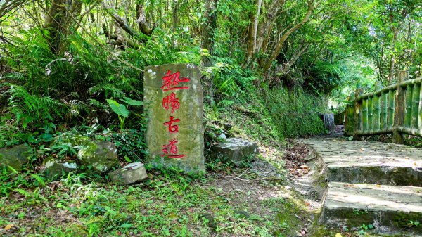 南勢坑小尖,大尖2816039