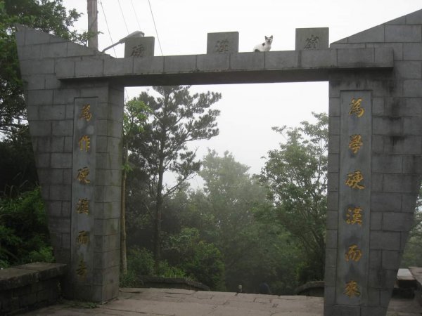 小百岳NO.5觀音山 牛港稜步道  硬漢嶺   楓櫃斗湖登山步道2126792