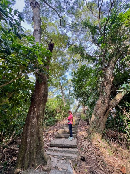 古坑地母廟走荷苞山(登山步道)訪小溪子山2946729