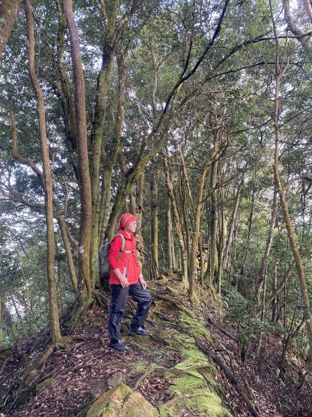 坐公車接駁的神仙縱走2707396