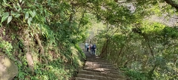 20240113_硬漢嶺步道(觀音山)2401535