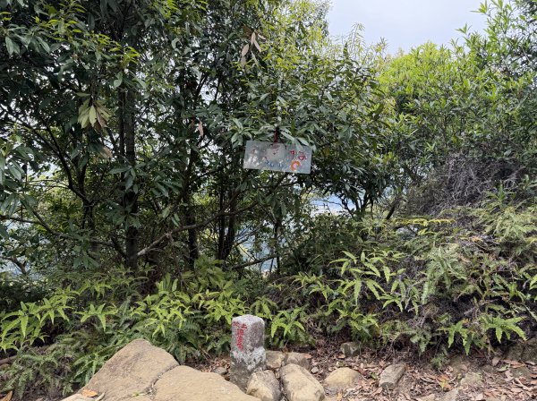 [微笑山線_第四段] 2026_0321 天上山系_石門內尖山3022061