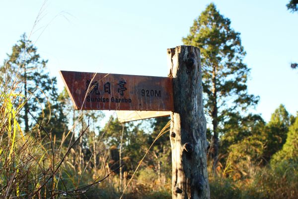 望洋山步道及翠峰湖233636