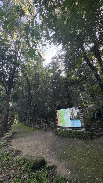 美濃雙溪樹木園（九芎林山2905614
