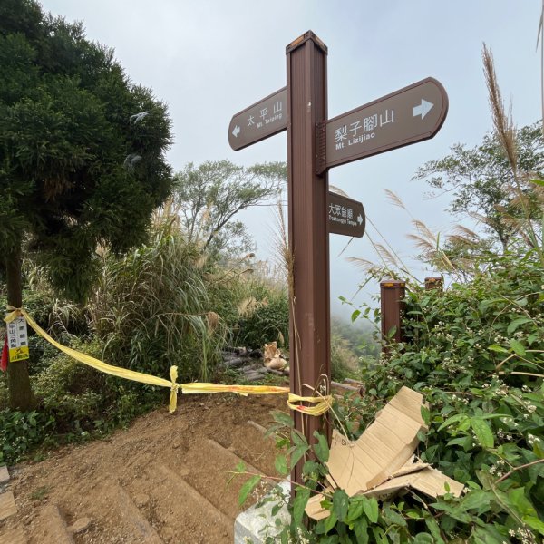 20231212_大尖山、梨子腳山、獨立山（嘉義縣小百岳）2763175