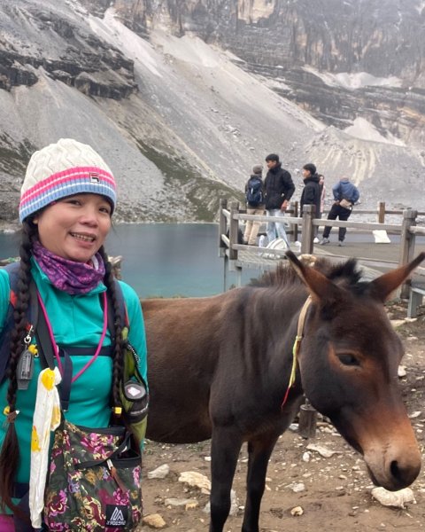 西藏♥️可愛動物🐎人物寫真/拉薩旅拍/美食2902951