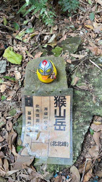 銀河洞越嶺貓空-新高麗坑山-銀獅縱走-猴山岳群峰+三條魚縱走2998287