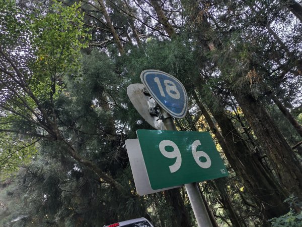 [百山百鳥尋旅-12/15] 2025_0928 特富野古道2899582