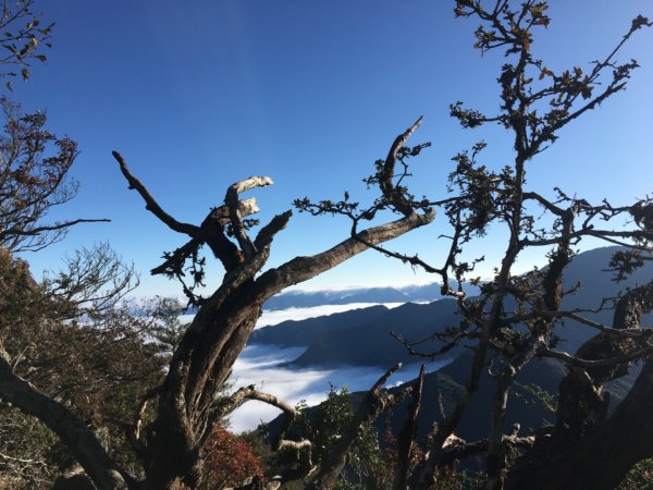 加里山（雲瀑2664727