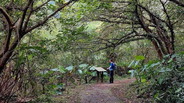 旅讀礦業風華，貂山古道、牡丹山、不厭亭、金字碑步道O型