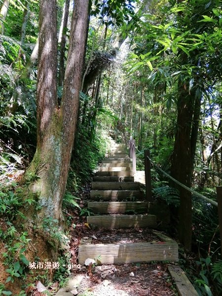 南投魚池~汗流浹背的陡峭階梯~後尖山步道1058405