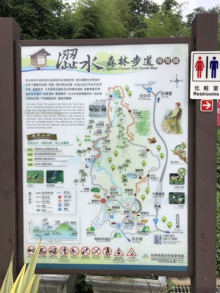 澀水森林步道230603封面