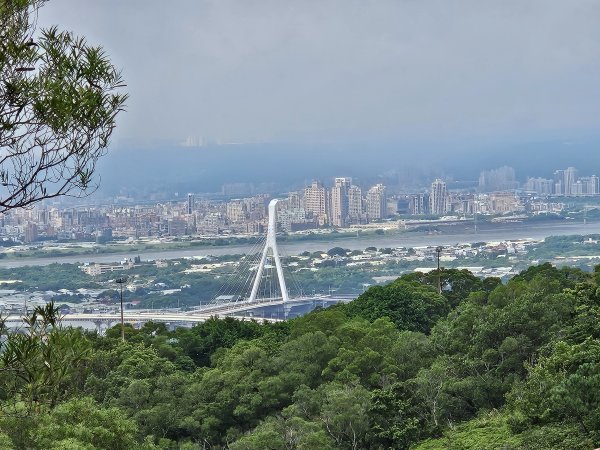 軍艦岩、丹鳳山親山步道3110719