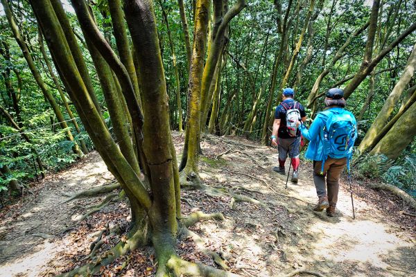 鳶山、福德坑山、鳶尾山P型107.6.5349290