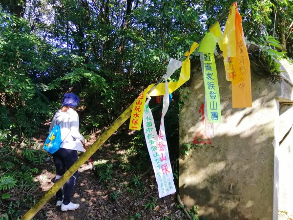 基隆安樂~遠眺蔚藍海岸#3小百岳大武崙山863625
