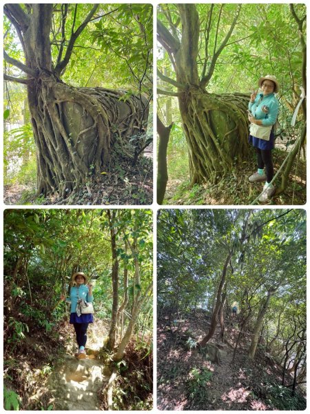 基隆小百岳：大武崙山#03 紅淡山#07 槓子寮山#04 逛吃瑞芳老街2922731