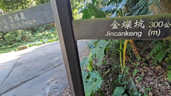 20251215林口森林步道+太平嶺海濱步道2969384