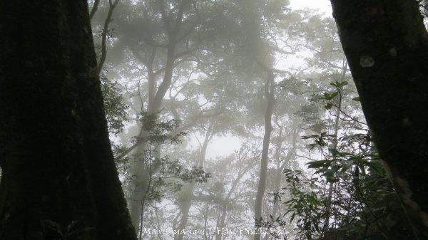《雲林》望好望角｜石壁山嘉南雲峰步道(中側登山口）202506072805503