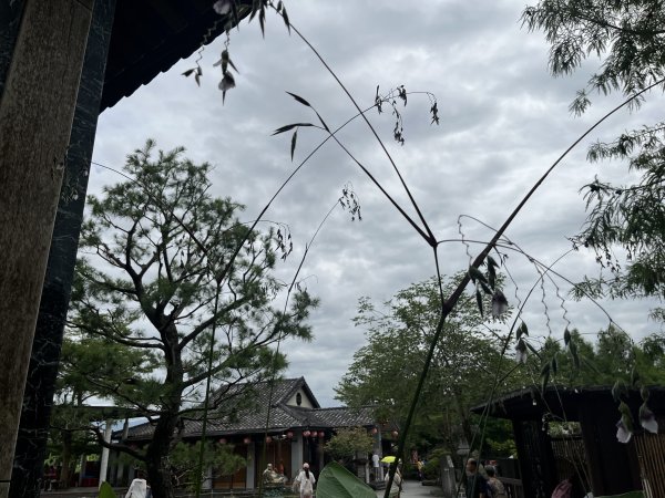 2025_0712 北后寺2836406
