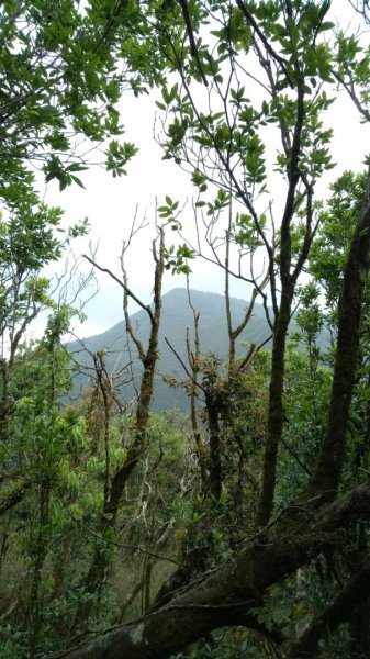 逐鹿山、卡保山1000378