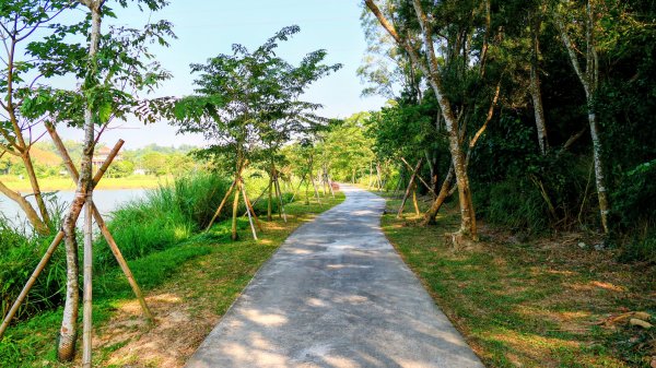 大社觀音山湖2954905