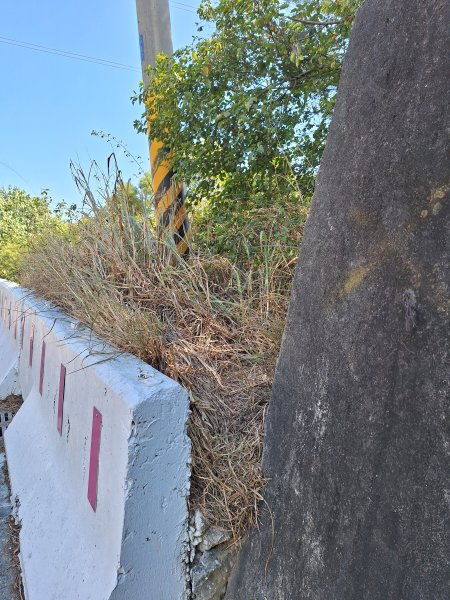 大肚環保公園步道+大尖山+萬里長城步道萬里長城步道202512072956521