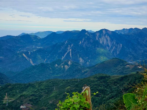 二延平步道&茶霧之道2636677