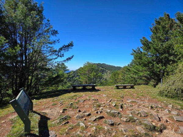 麟趾山、鹿林山、鹿林前山三山縱走2630035