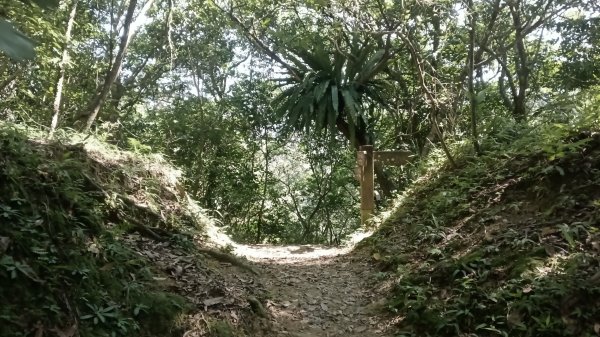 雙溪瑞芳區三貂嶺車站-幼坑古道-魚寮山-頂坑山-大煙囪-尪子崙坑-牡丹車站3128507