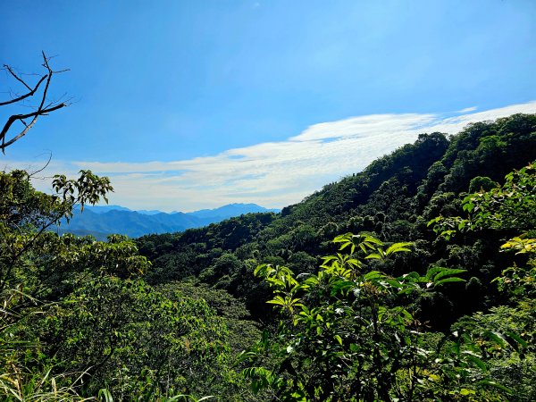 小百岳集起來-大橫屏山2185699