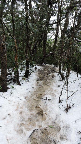 2021元旦瑞雪兆豐年內鳥嘴山追雪成功1222727