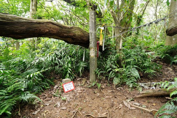 臺北 文山 指南山、猴山岳、魚衡山、大前坑山、猴山坑山、祥光寺後山、金頭山2775016