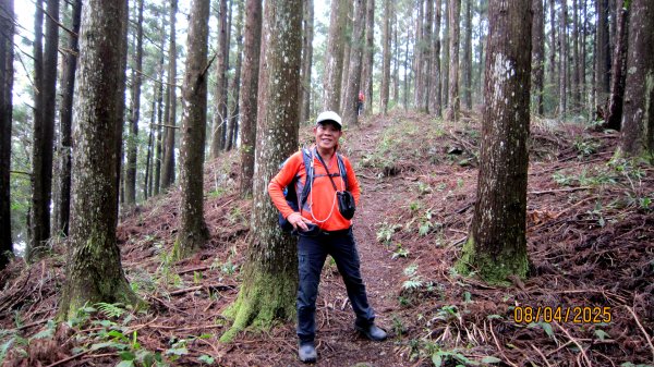 【油羅山/露營】 仙境舒活健走，雲端徜徉野趣！2887919