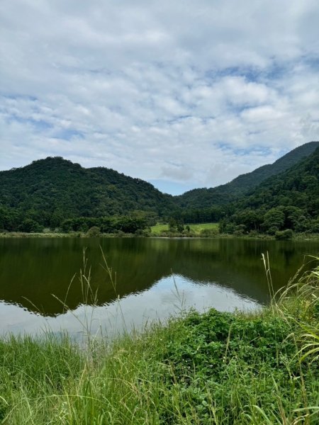 三針後山、雙連埤犬香薷節2592715