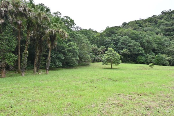2025_0712 福山植物園2836192