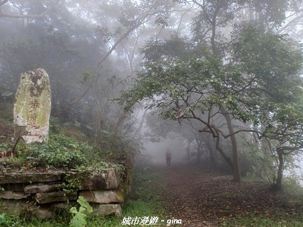 【台南。 南化】迷霧山徑。 小百岳集起來。 編號70小百岳~刣牛湖山登山步道1610473