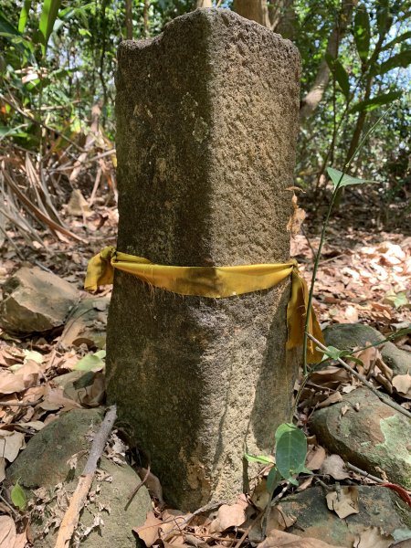 20250503屏東埔姜山東2781511