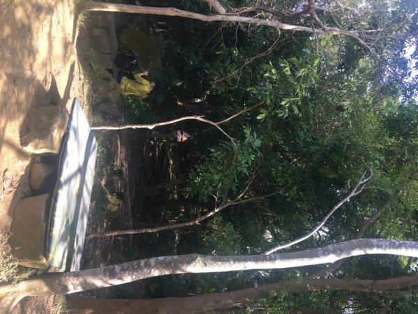 龍麟山步道（王爺崙2703652