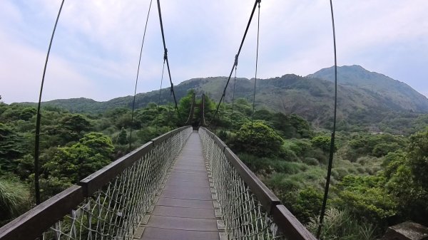 20250501_陽明山東西大縱走-round#32784141