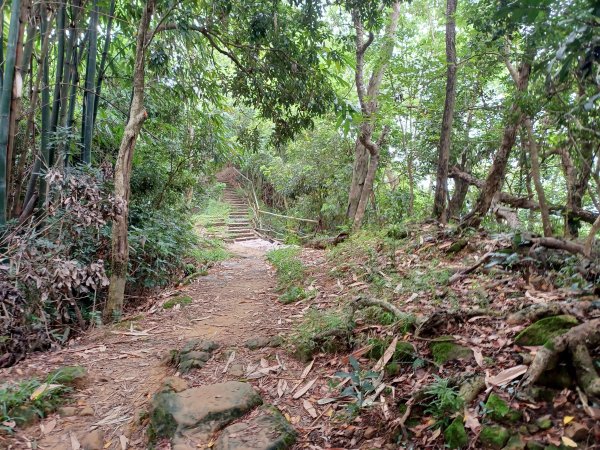 【台中北屯】南觀音山步道2933193