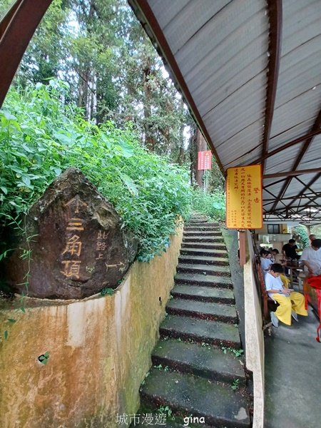 【苗栗獅潭】登頂前的陡坡攀爬很有感。 仙山登山步道2658446