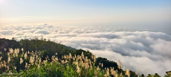 #觀音山 #雲海 #夕陽 #琉璃光 2/42993049