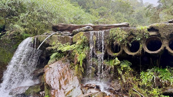 穿羅紗的「加羅湖」2943919