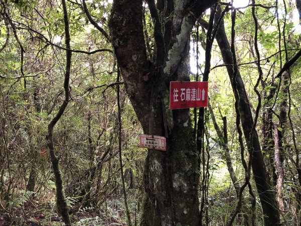 2020/09/13高島縱走P繞1101701