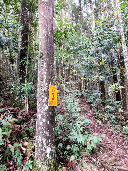 小百岳集起來-向天湖山2183008