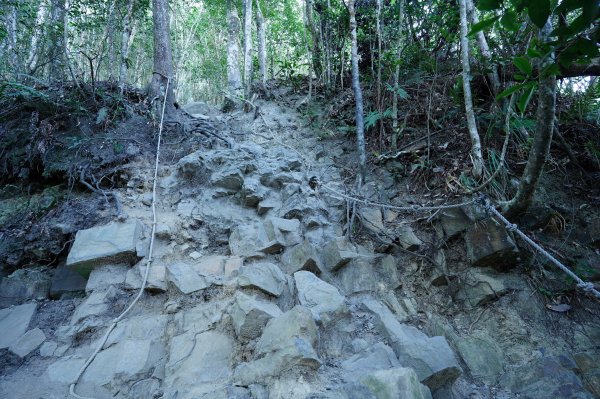 臺中 和平 白毛山、次郎山2670927