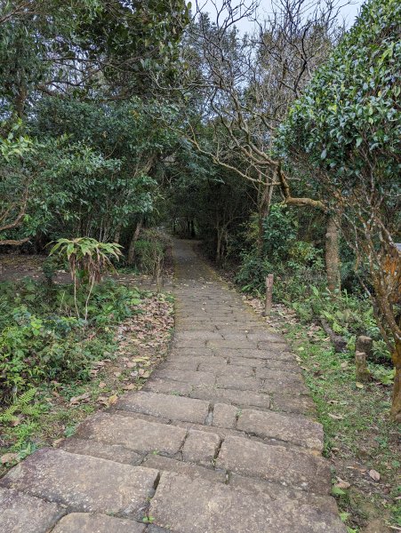 2023-01-23 劍潭山、大崙頭尾山親山步道2792370